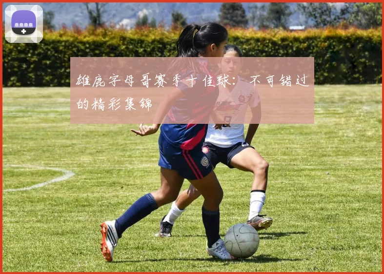 雄鹿字母哥赛季十佳球：不可错过的精彩集锦