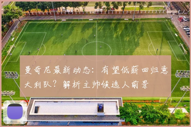 曼奇尼最新动态:有望低薪回归意大利队?解析主帅候选人前景